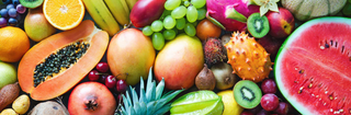 Digestive System Function & Therapeutics