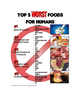5 Worst Foods for Humans PDF