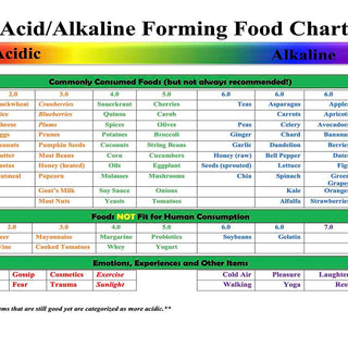 Acid Alkaline Forming Food Chart