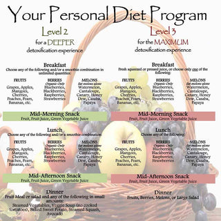 Diet Program Recommendations PDF
