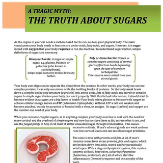 Understanding Fruit Sugars PDF