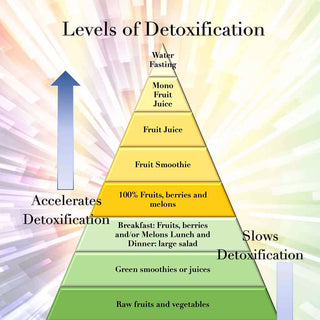 Levels of Detoxification 
