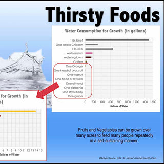 Thirsty Foods PDF